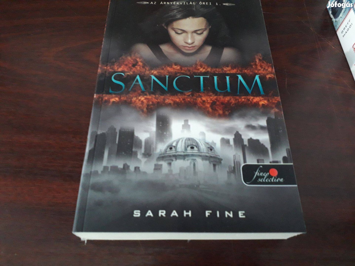 Sarah Fine - Sanctum