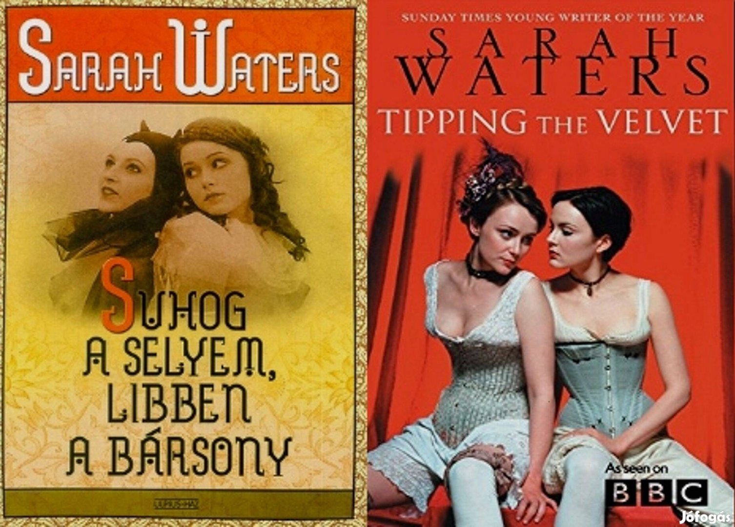 Sarah Waters könyvek (angol, magyar)