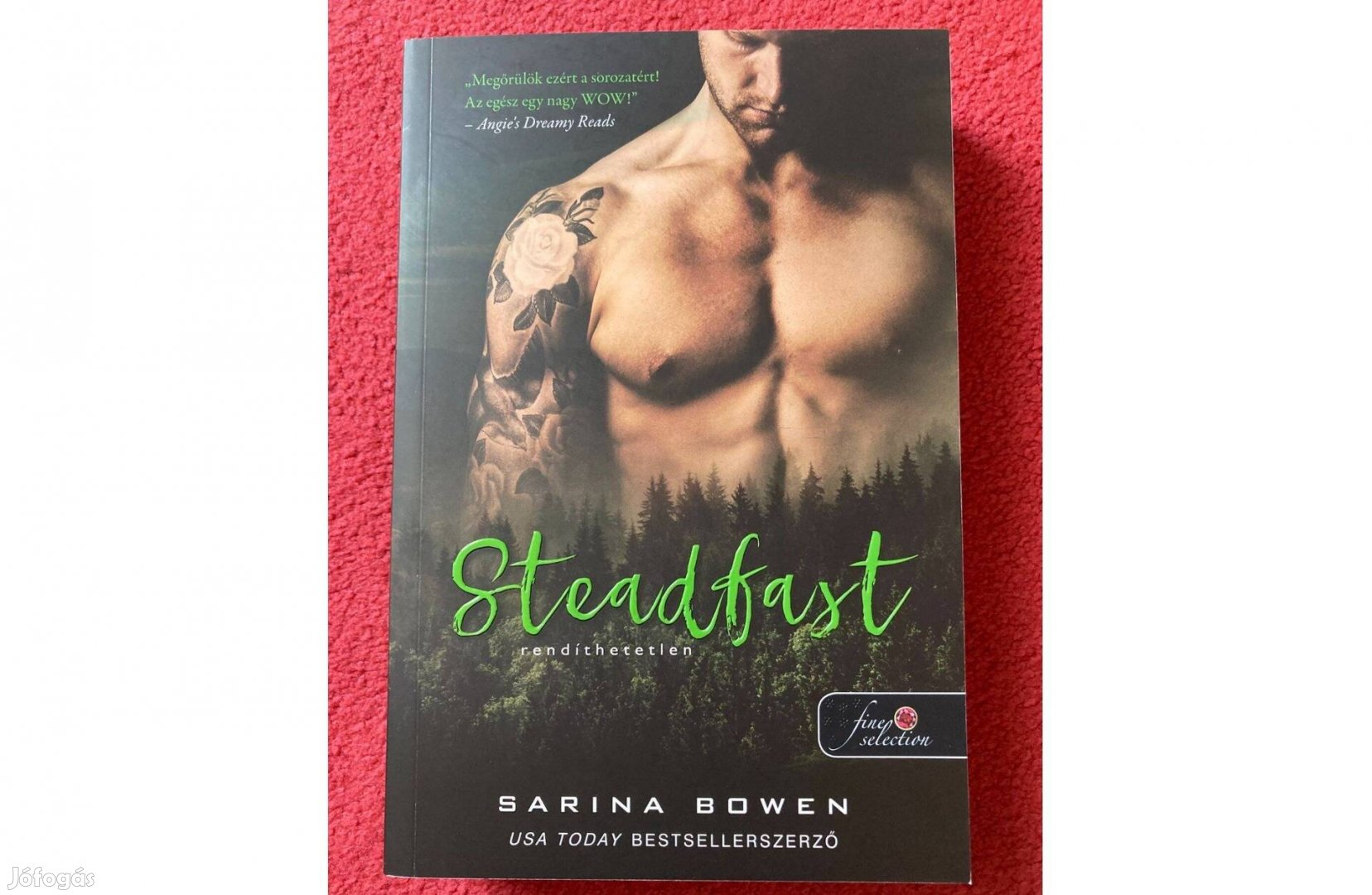 Sarina Bowen Rendíthetetlen True North 2