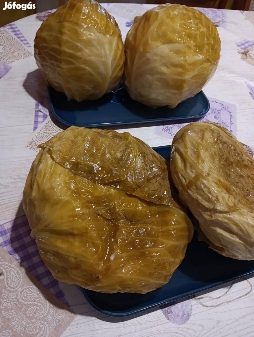 Savanyú káposzta fej, káposzta 