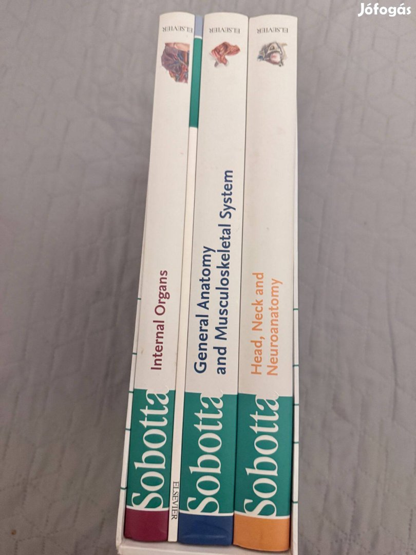 Sbotta Atlas of Anatomy 16 th edition Angol nyelvű