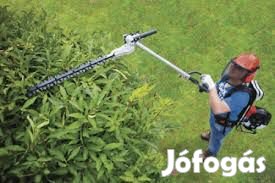 Scheppach MFH 5300-4BP - Fűkasza bozótvágó magassági ágvágó