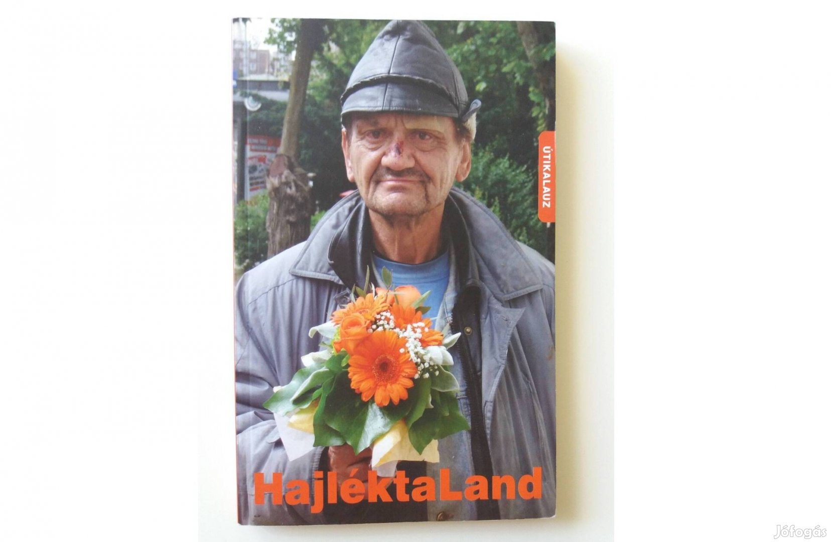 Schermann Márta: Hajléktaland