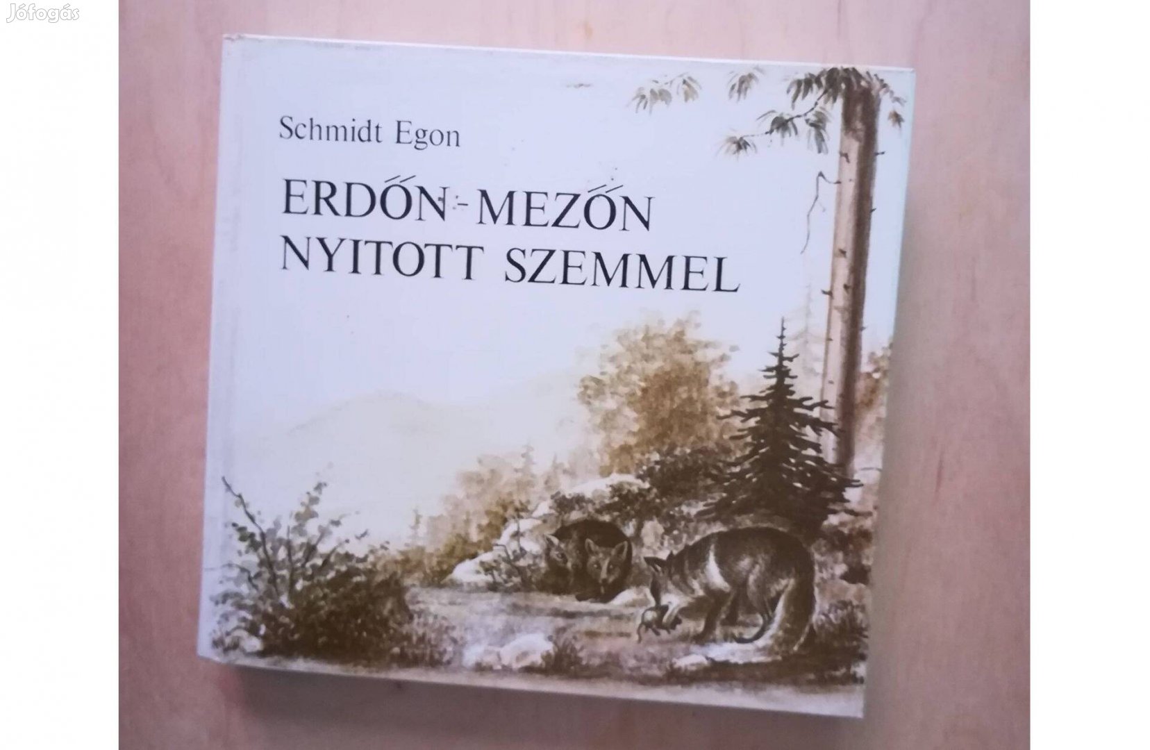 Schmidt Egon: Erdőn-mezőn nyitott szemmel