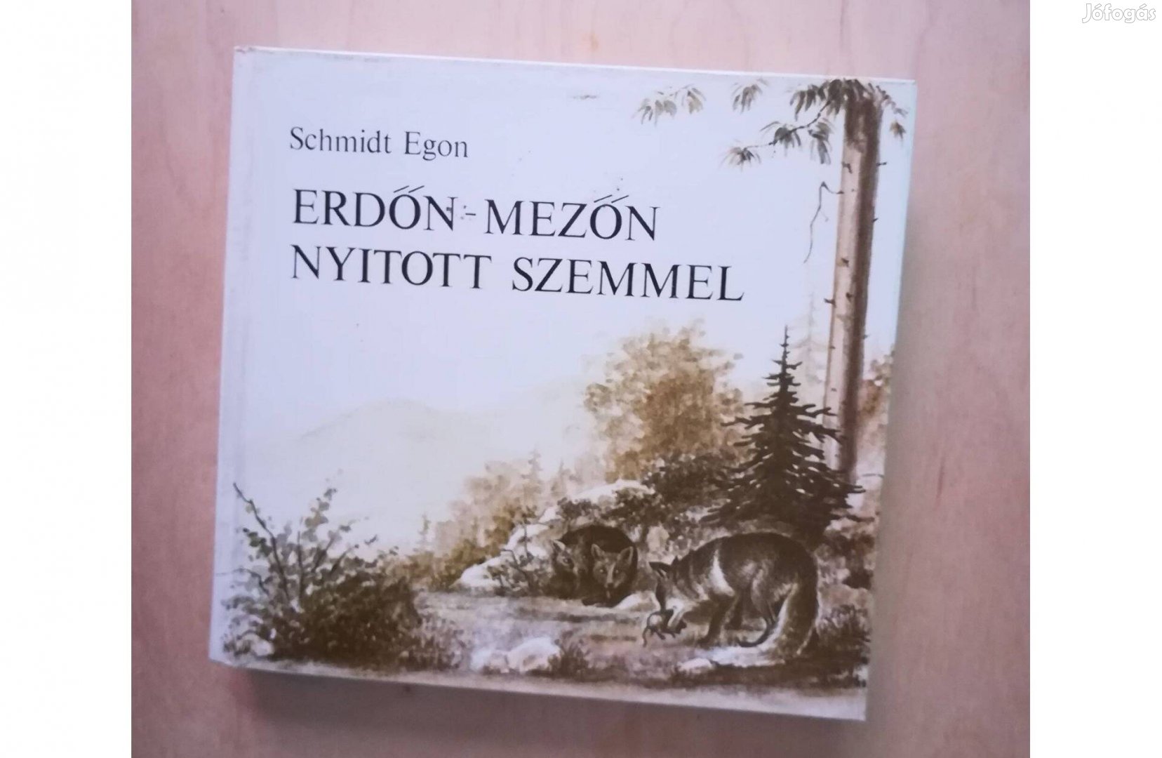 Schmidt Egon: Erdőn-mezőn nyitott szemmel