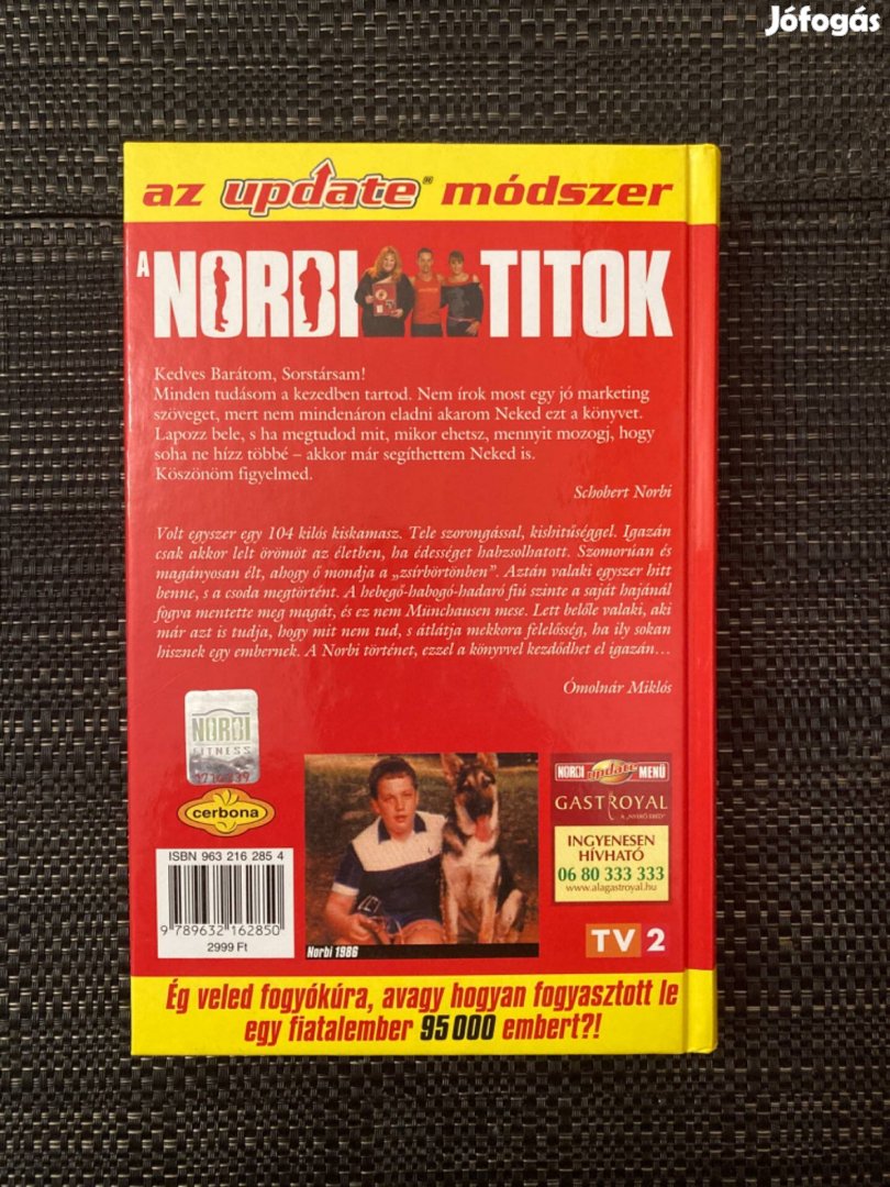 Schobert Norbi a Norbi titok című könyv szinte új!