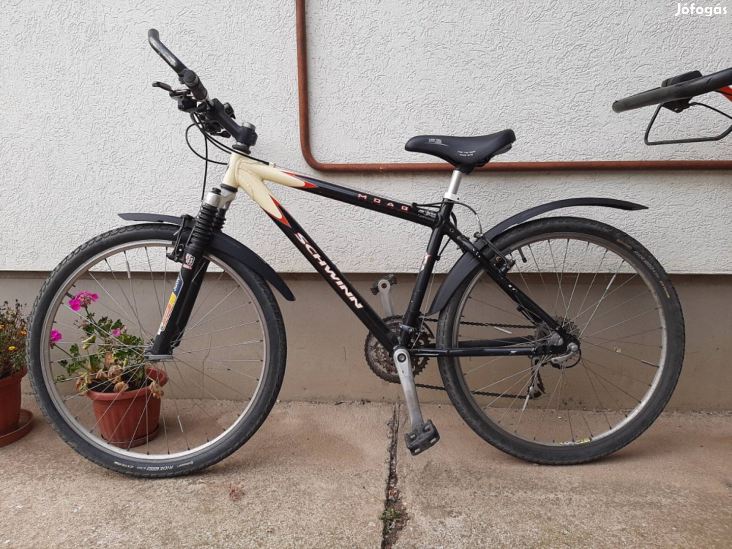 Schwinn moab 2