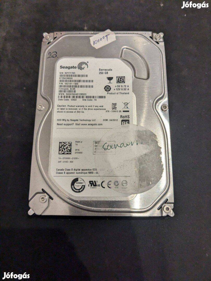 Seagate Barracuda HDD merevlemez SATA 100/100 250 GB 3,5"