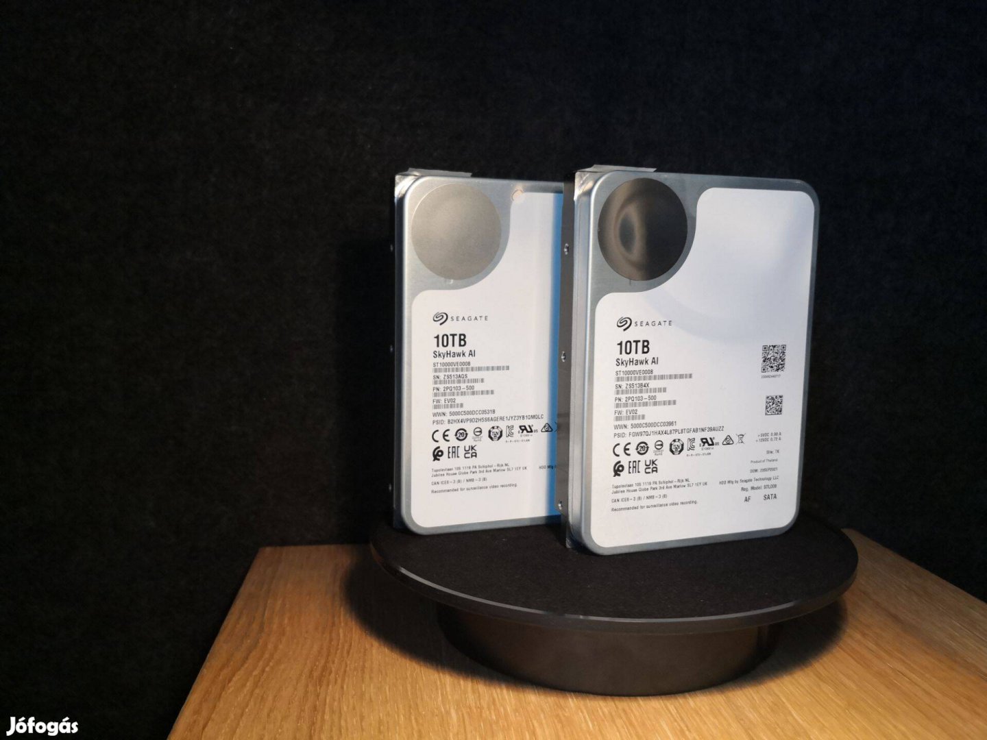 Seagate Skyhawk AI 10TB