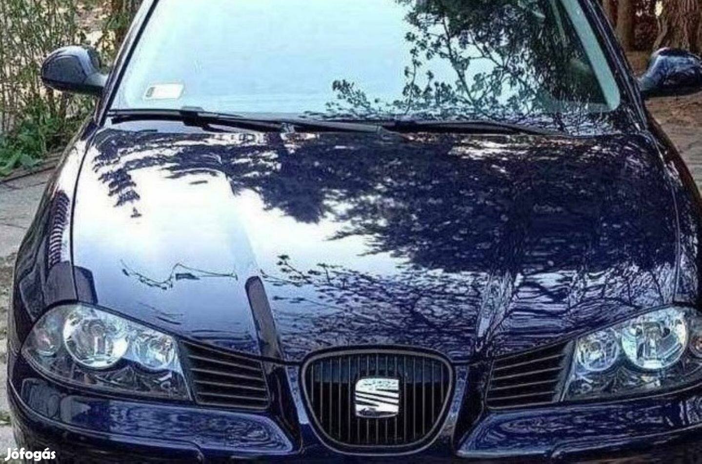 Seat Ibiza 2007 dízel