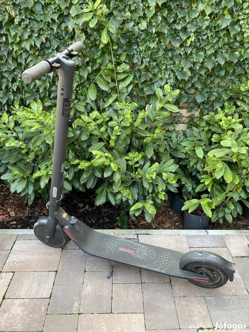 Segway Ninebot E25E