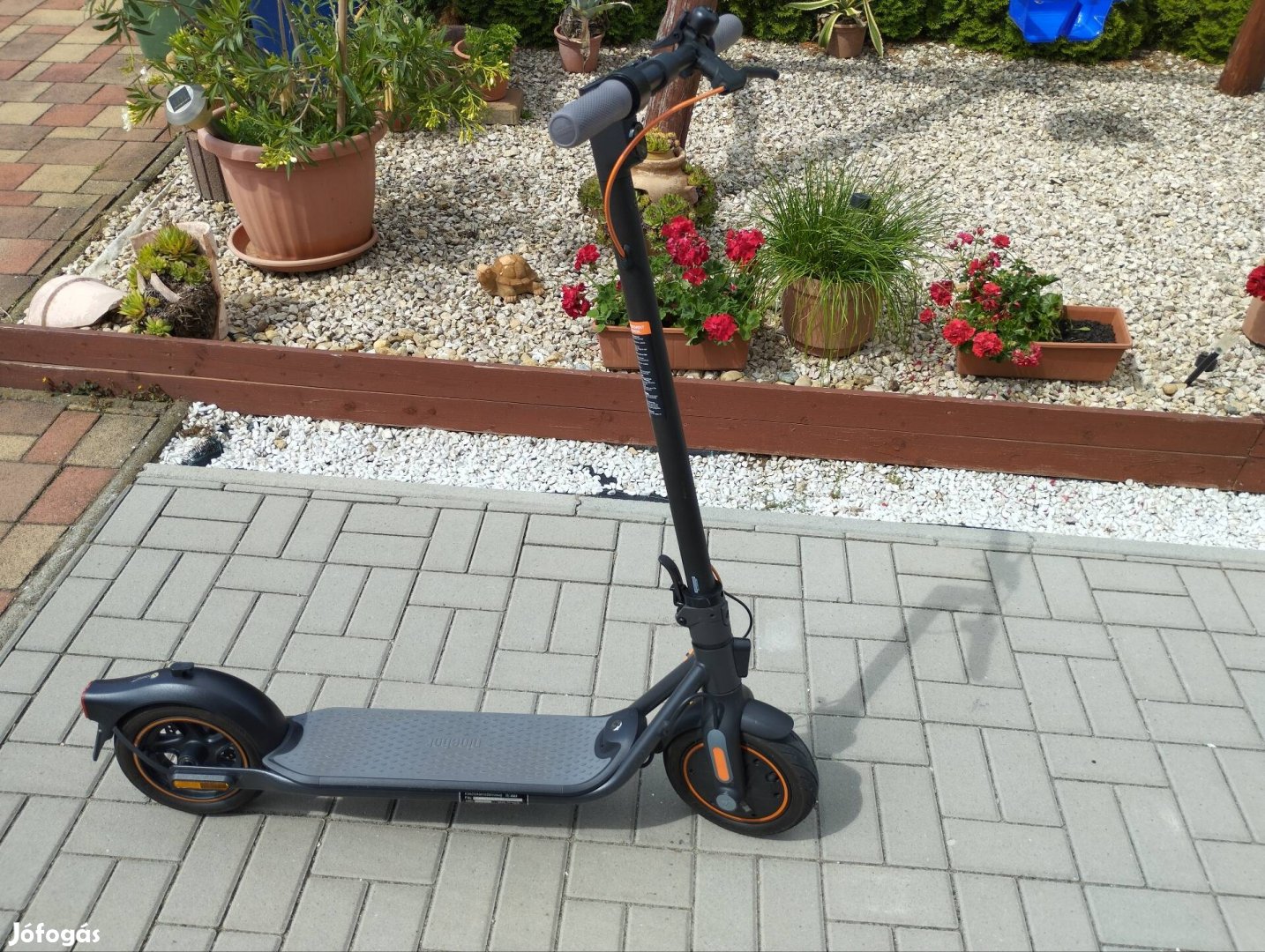 Segway Ninebot F40