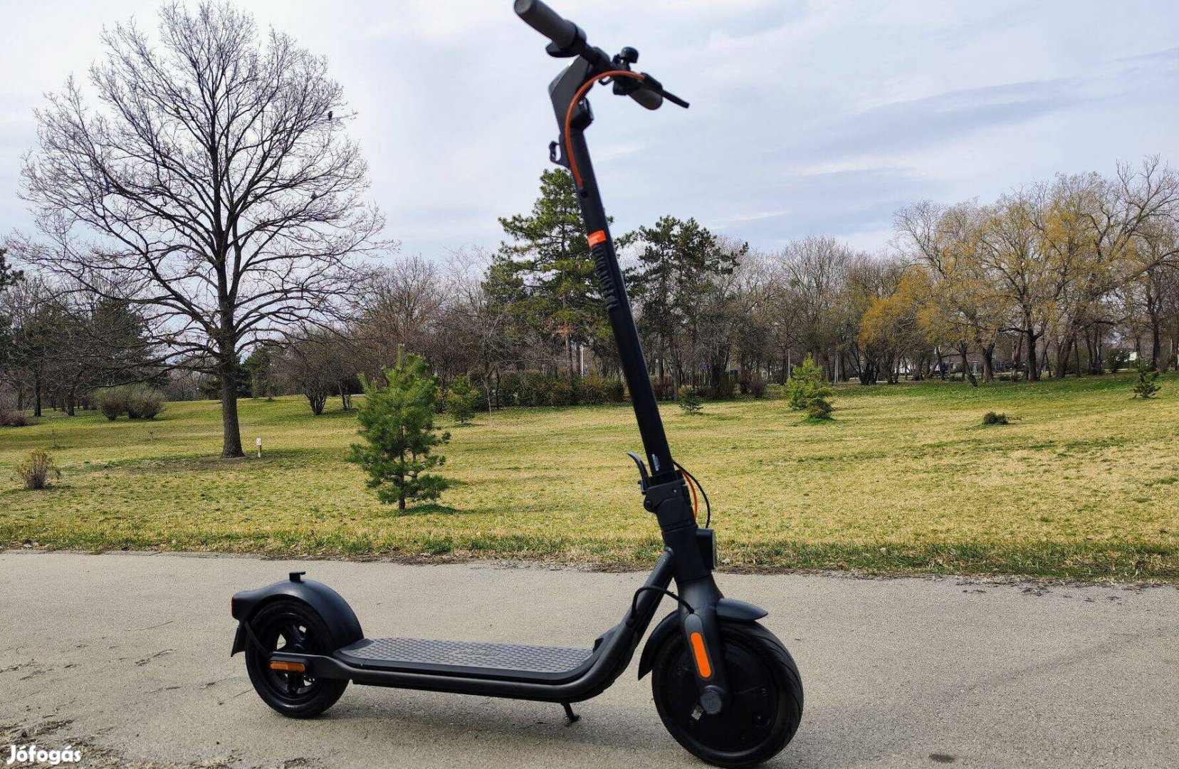 Segway Ninebot Kickscooter F30E