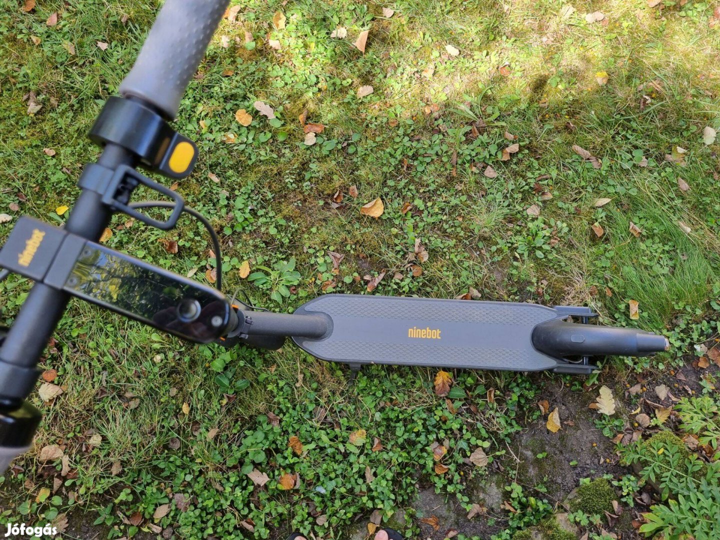 Segway ninebot max g30d II