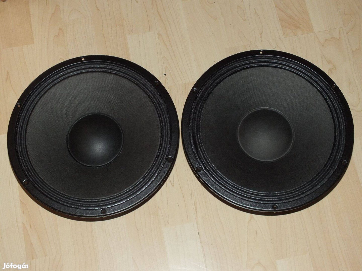 Selenium 12" hifi hangszóró