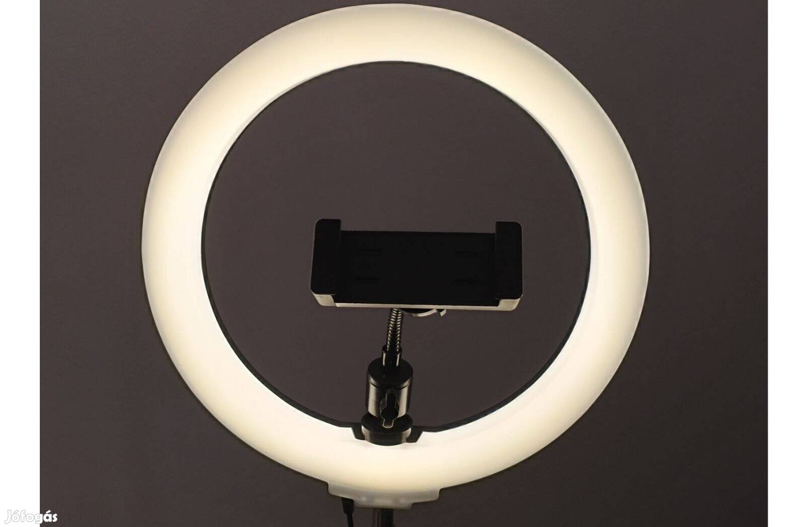 Selfie Ring LED körlámpa 10"