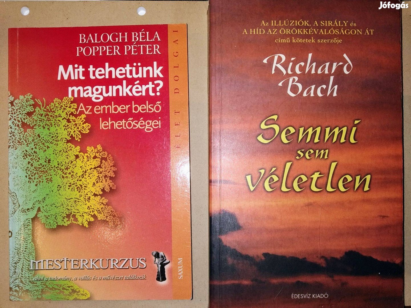 Semmi sem véletlen Richard Bach "A nehézségeknek az egyetlen okuk, ért