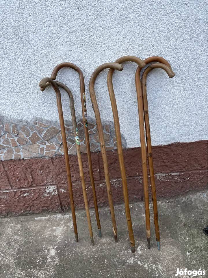 Sétabot, túrabot, turistabot, vándorbot