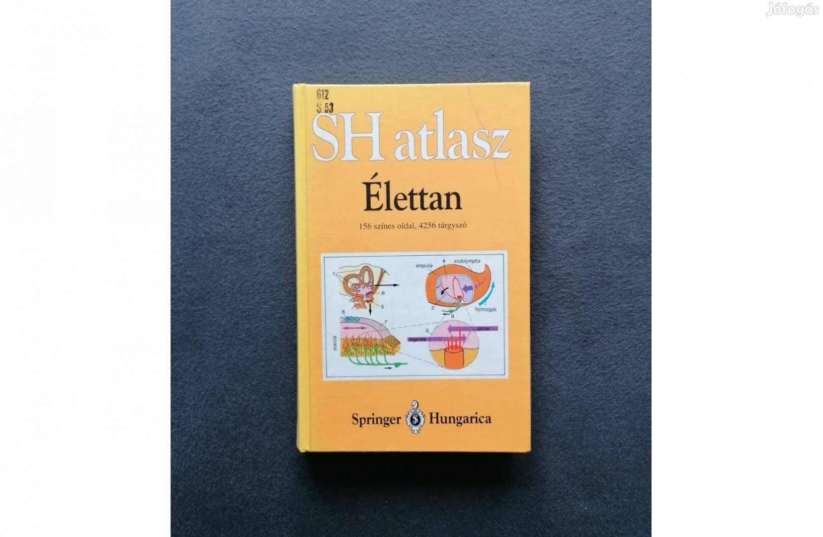 Sh atlasz - Stefan Silbernagl - Agamemnon Despopoulos: Élettan