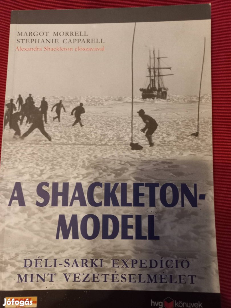 Shackleton, vezetéselmélet 