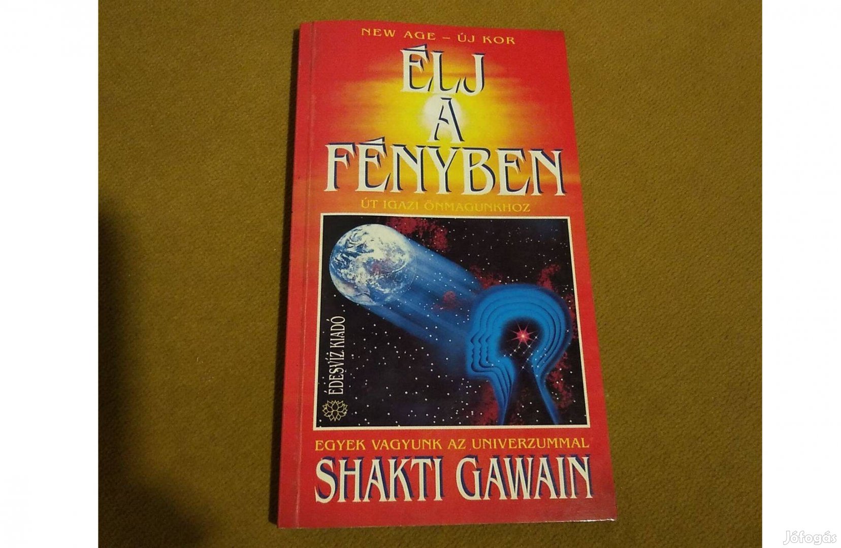 Shakti Gawain: Élj a fényben