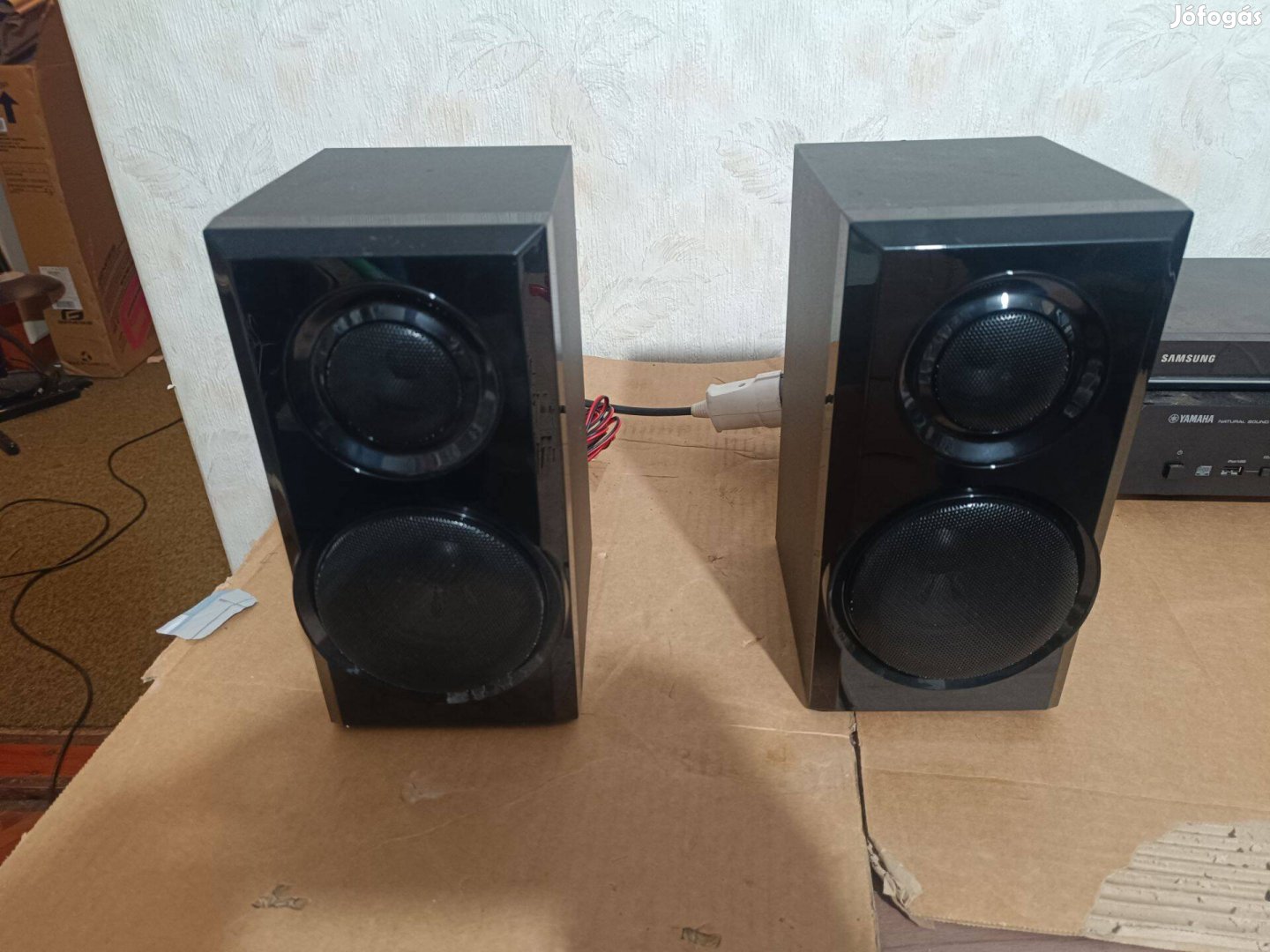Sharp hangfalpár CP-DV100NH(zozizo)