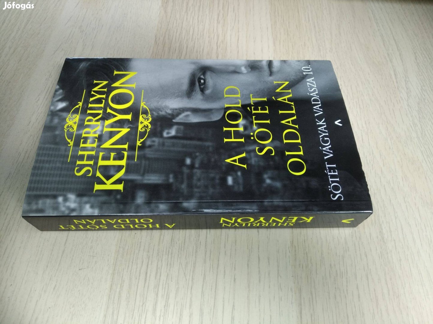 Sherrilyn Kenyon A Hold sötét oldalán Sötét Vágyak Vadásza