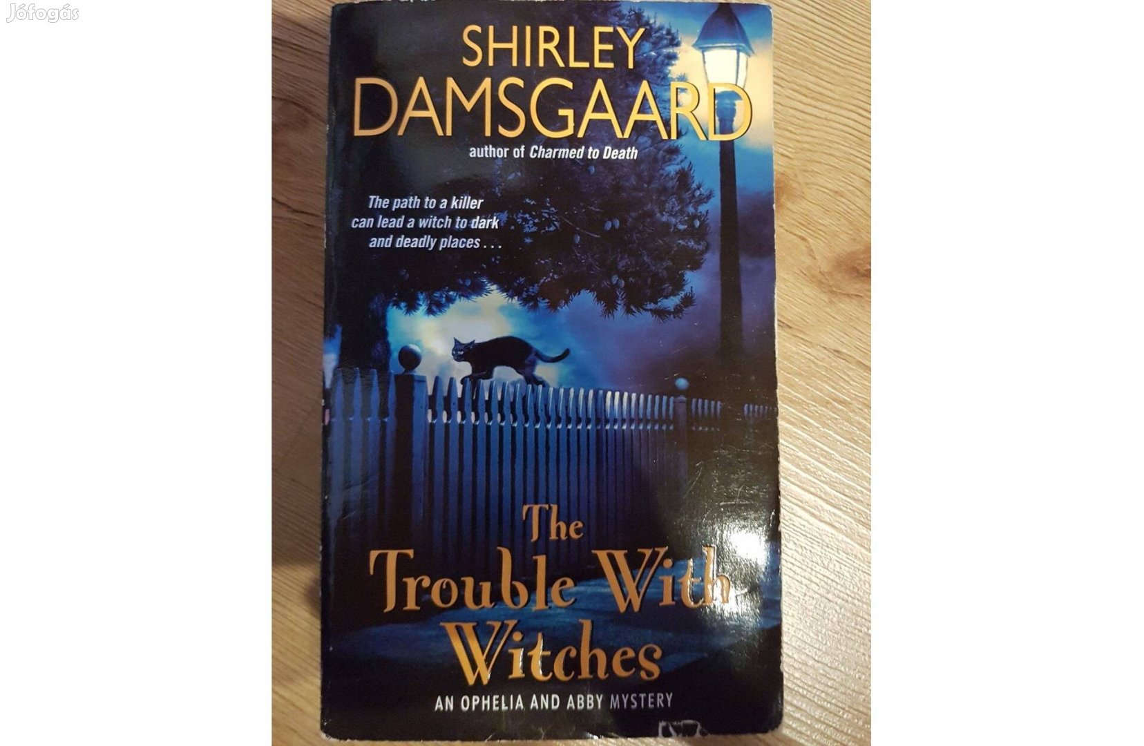 Shirley Damsgaard - The trouble with witches