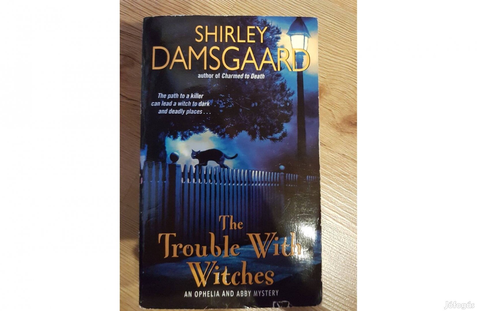 Shirley Damsgaard - The trouble with witches
