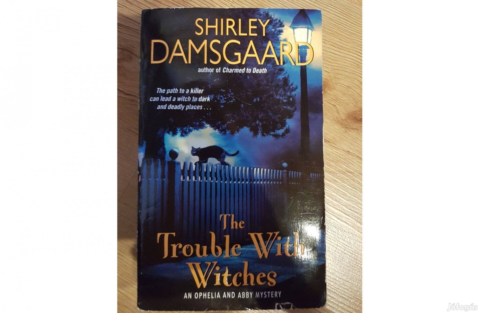 Shirley Damsgaard - The trouble with witches