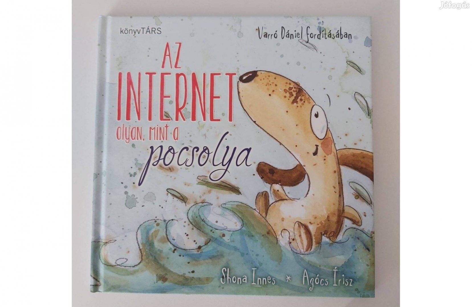 Shona Innes: Az internet olyan, mint a pocsolya