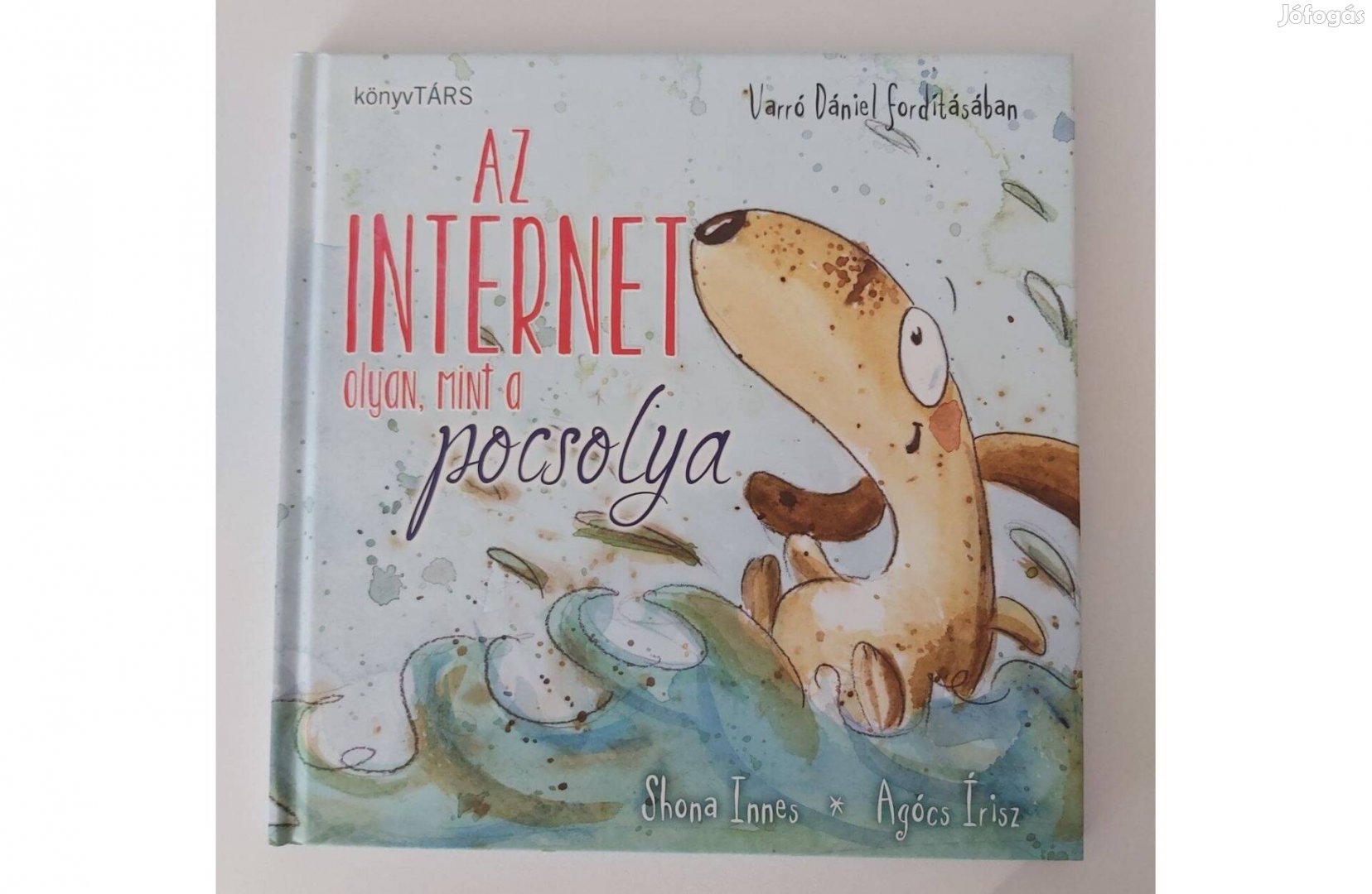 Shona Innes: Az internet olyan, mint a pocsolya