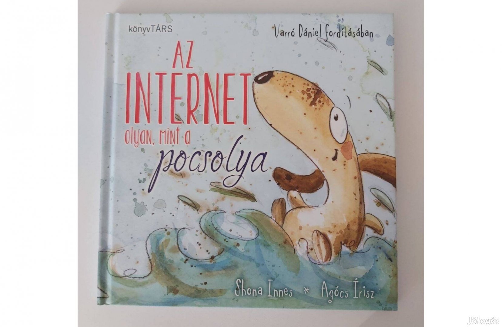 Shona Innes: Az internet olyan, mint a pocsolya (új pld.)