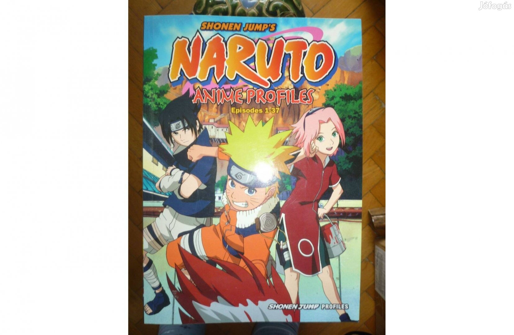 Shonen Jump's Naruto anime profiles 2006