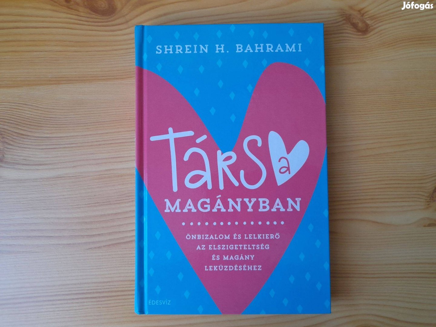 Shrein H. Bahrami: Társ a magányban