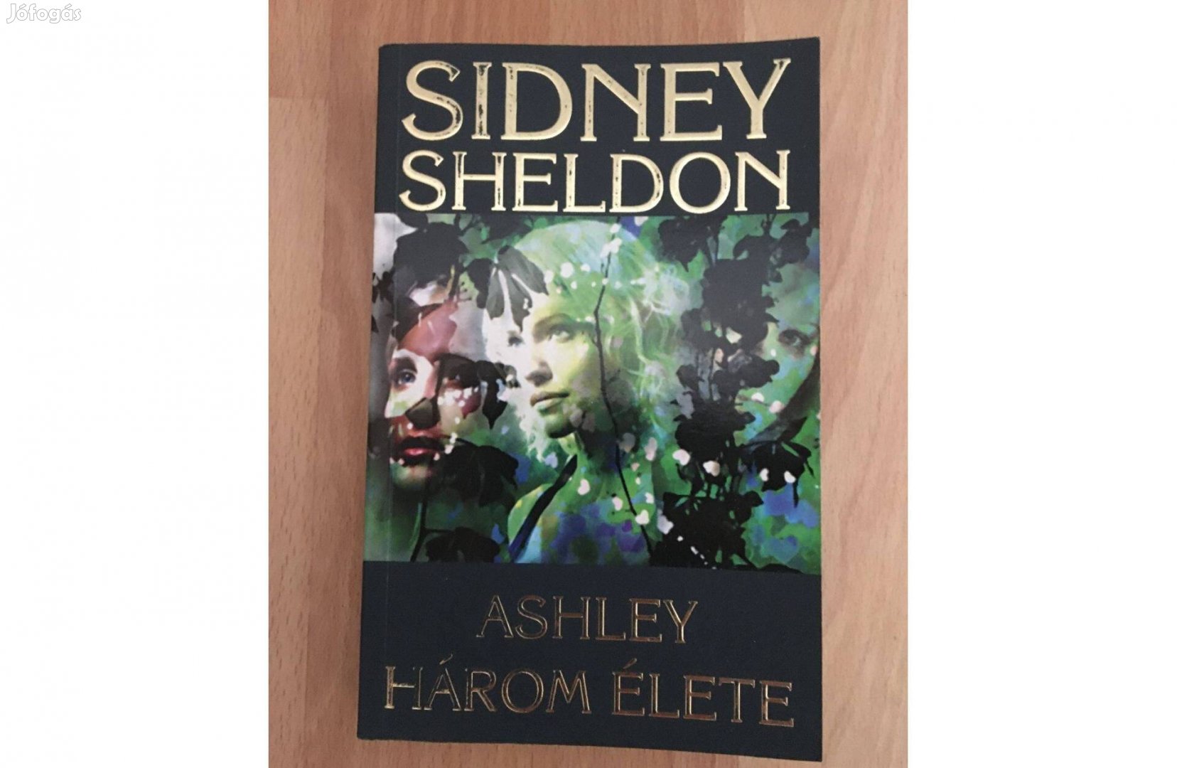 Sidney Sheldon: Ashley három élete