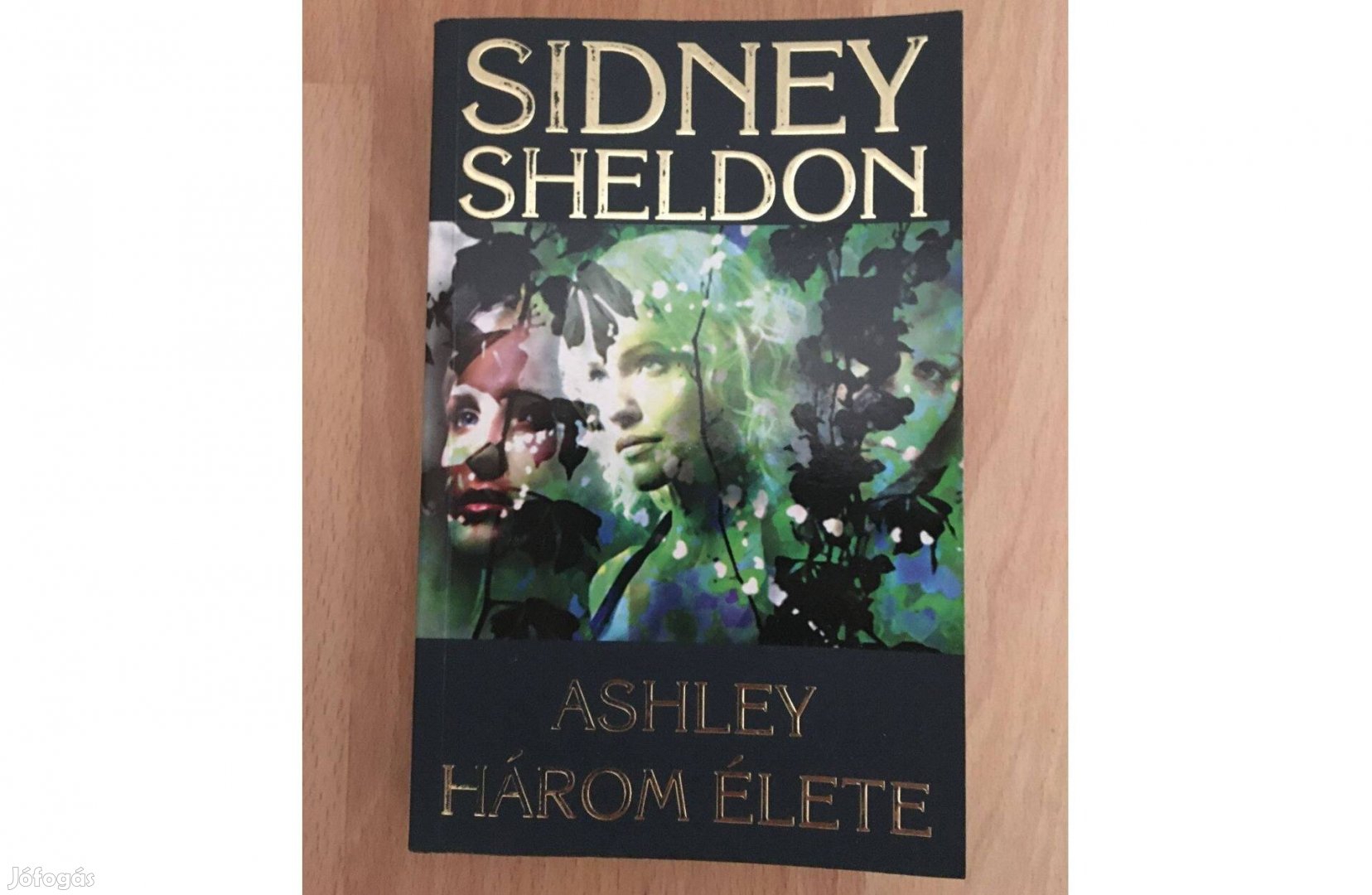 Sidney Sheldon: Ashley három élete c. könyv