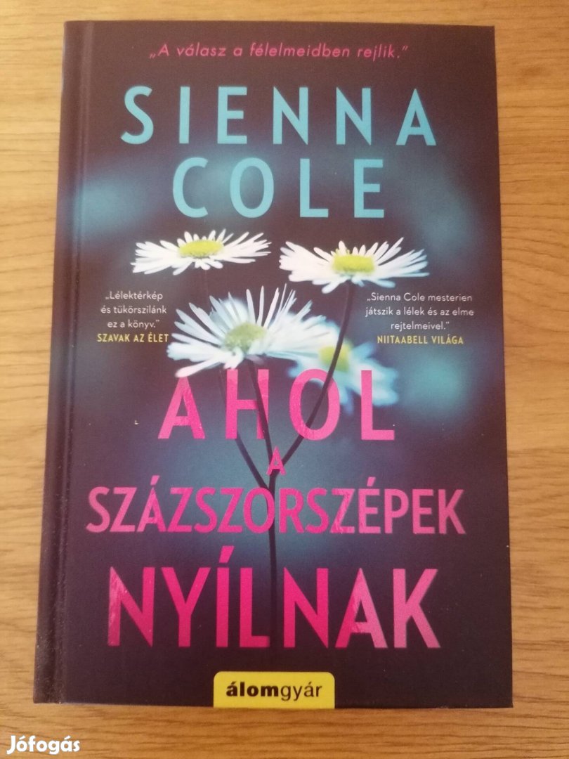 Sienna Cole : Ahol a százszorszépek nyílnak