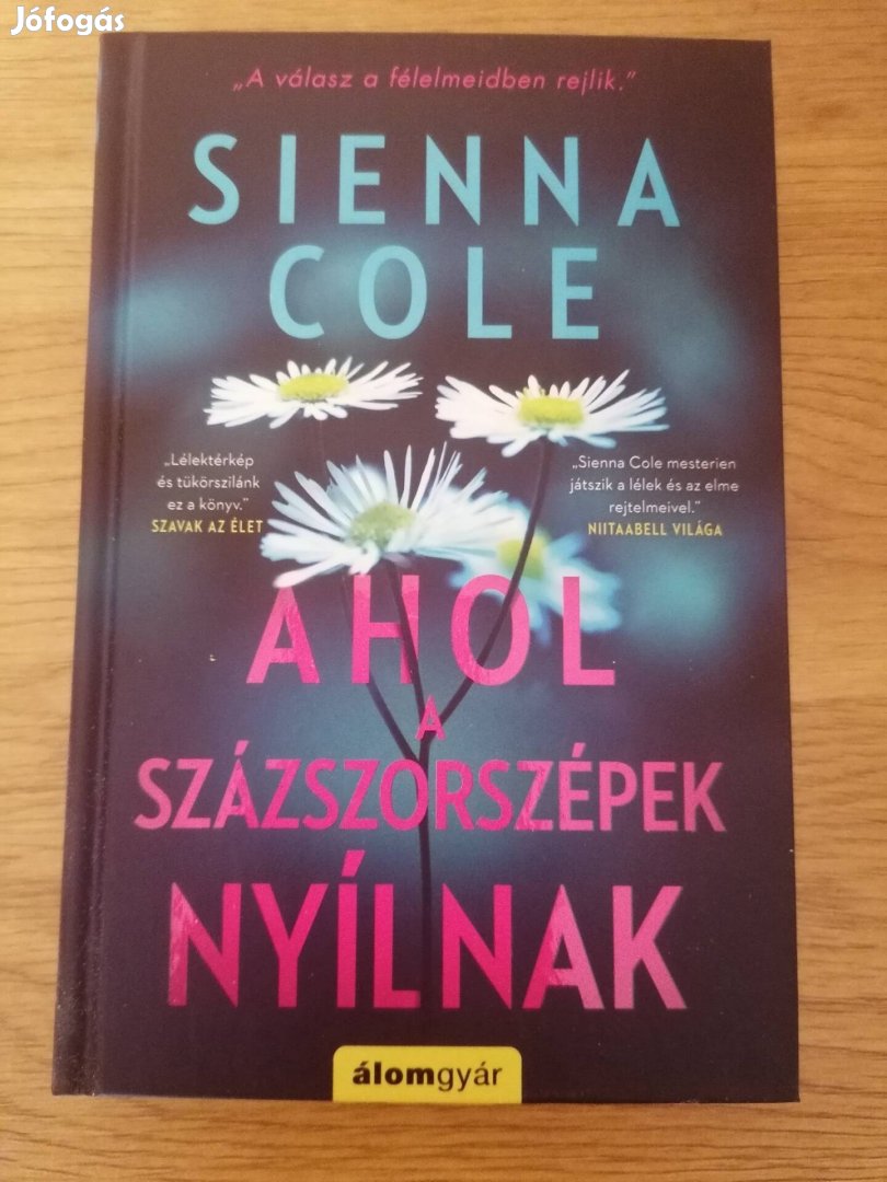 Sienna Cole : Ahol a százszorszépek nyílnak 