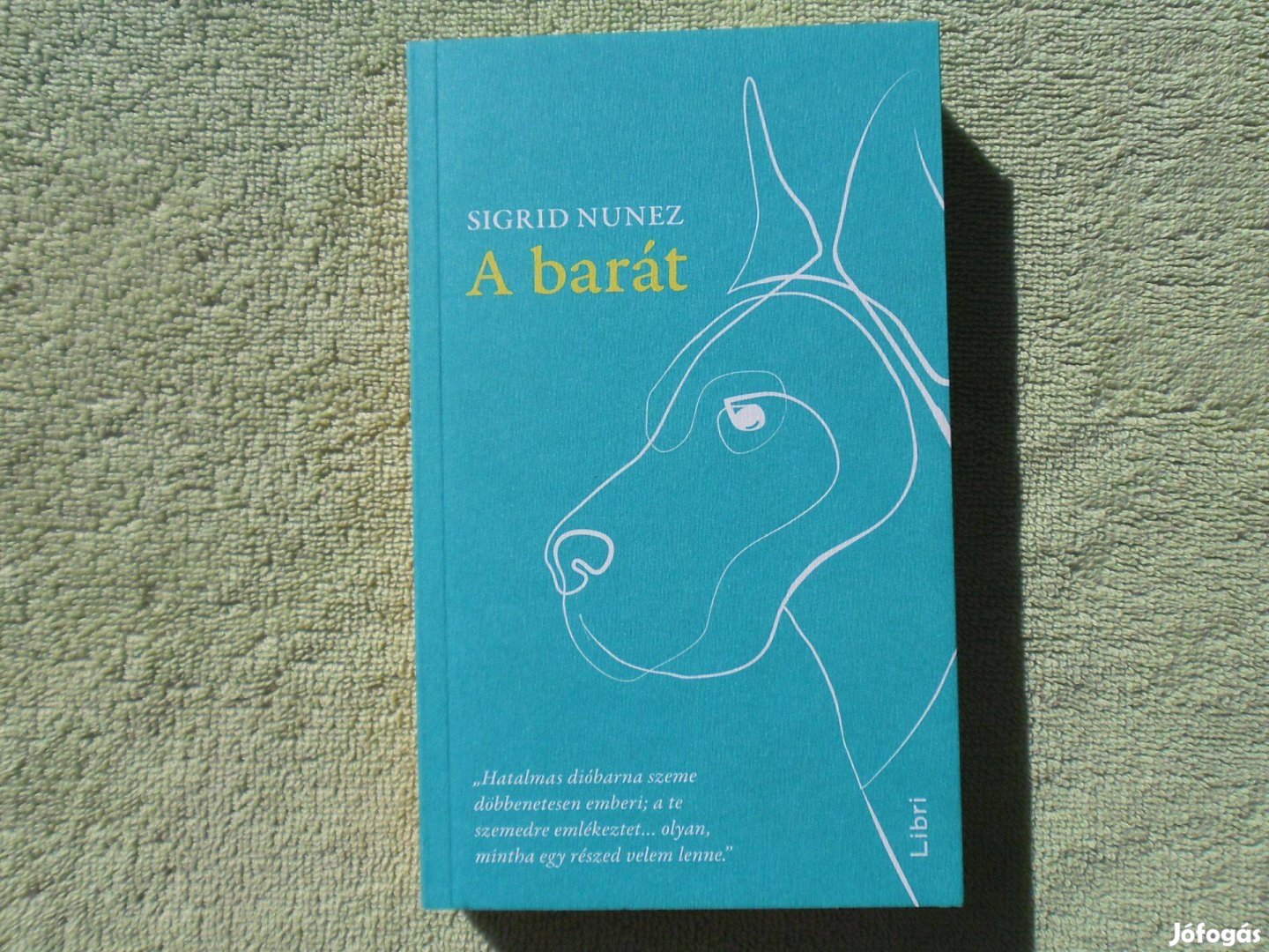 Sigrid Nunez: A barát