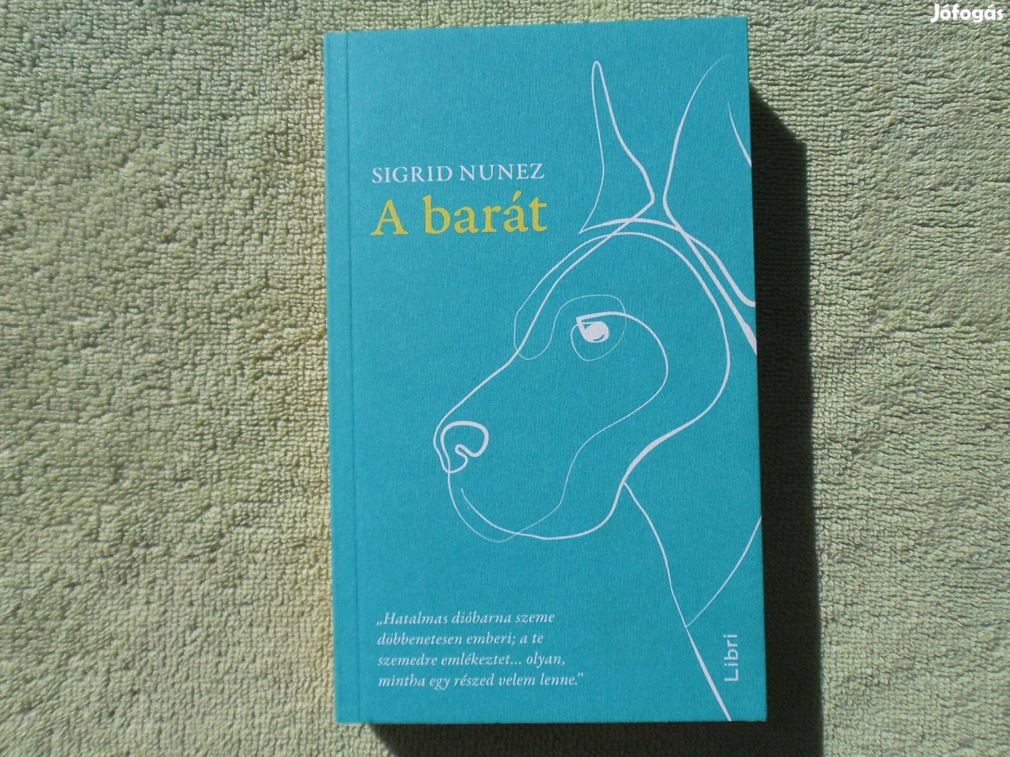 Sigrid Nunez: A barát