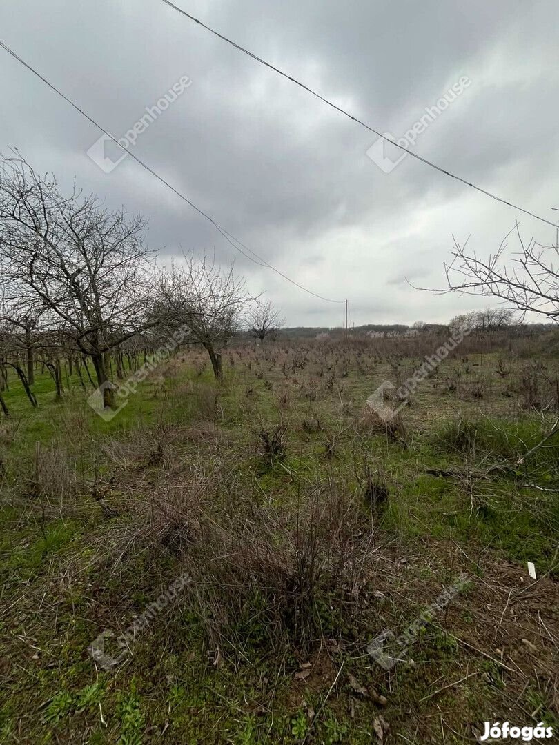 Simontornya eladó zártkert