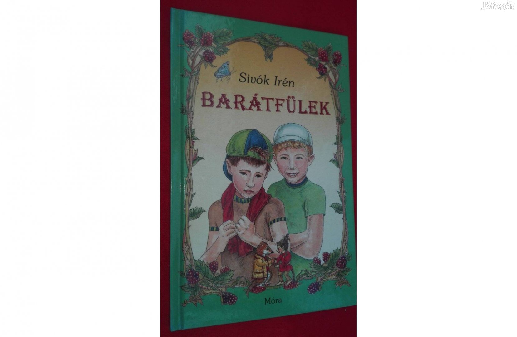 Sivók Irén: Barátfülek