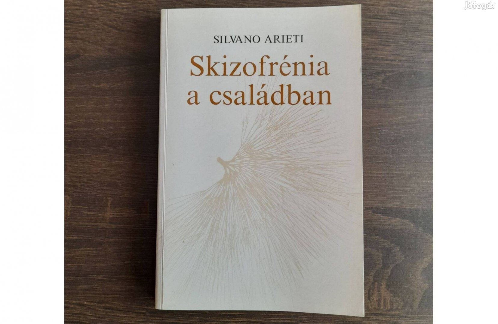 Skizofrénia a családban