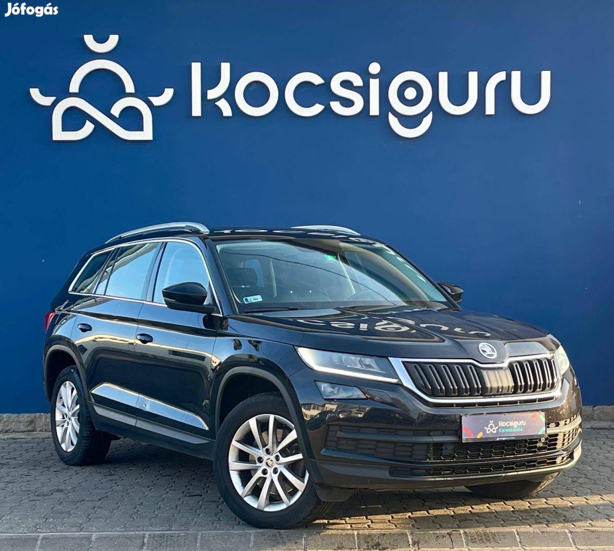 Skoda Kodiaq 2.0 TDI SCR Style 4x4 DSG / Mo-i!/...