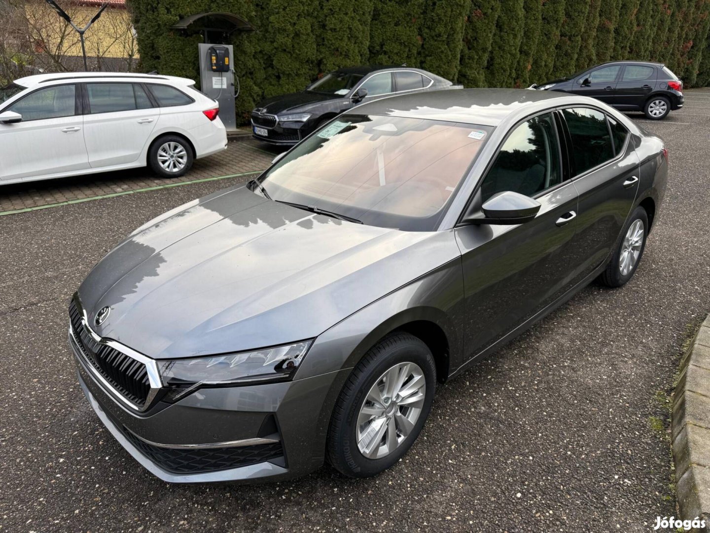 Skoda Octavia 1.5 TSI ACT Joy DSG mhev Grafit m...