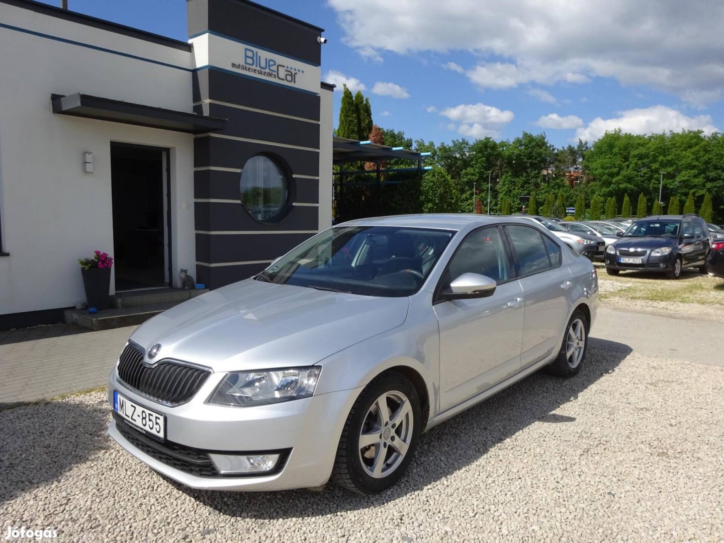Skoda Octavia 1.6 CR TDI Elegance Gazdaságos Di...