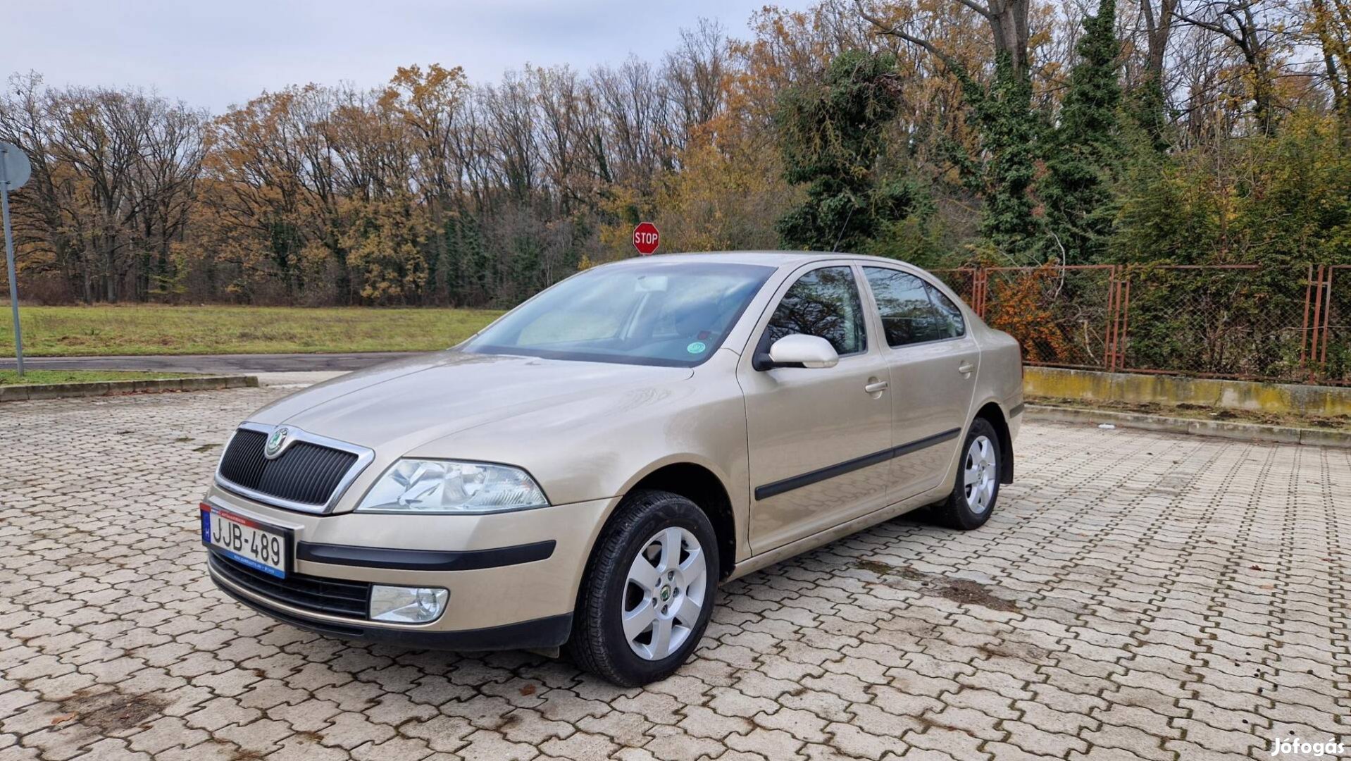 Skoda Octavia 1.6 Classic Digitklíma Szép Állap...