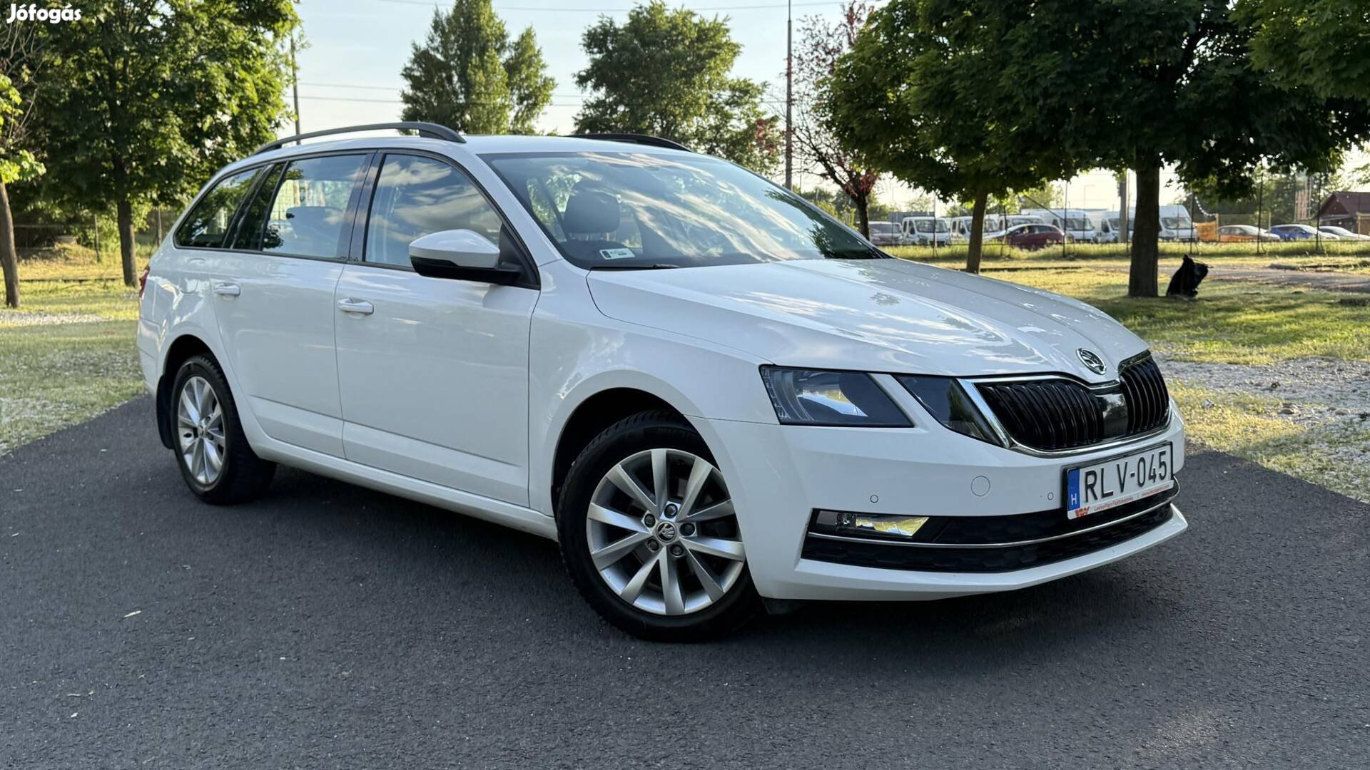 Skoda Octavia Combi 1.6 CR TDI Style (RLV-045)...