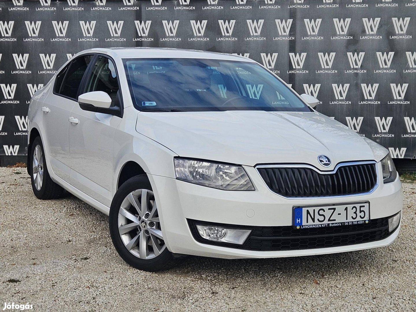 Skoda Octavia Combi 2.0 CR TDI Style Euro 6 Mag...